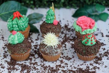 Cupcakes Cactus